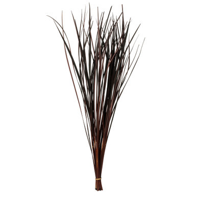 Vickerman 28" Brown Splinter Grass 11 oz Bundle Dried