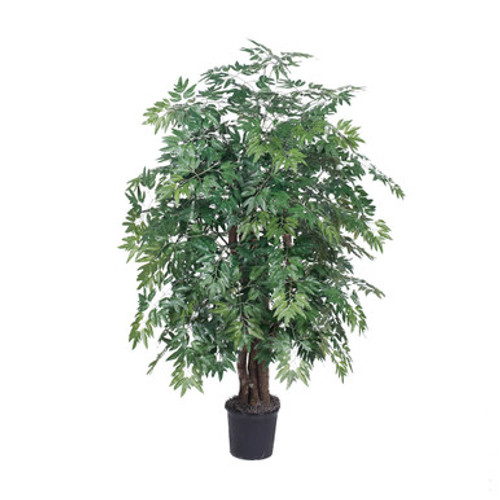 Vickerman 4' Artificial Ming Aralia Extra Full Bush Black Plastic Pot