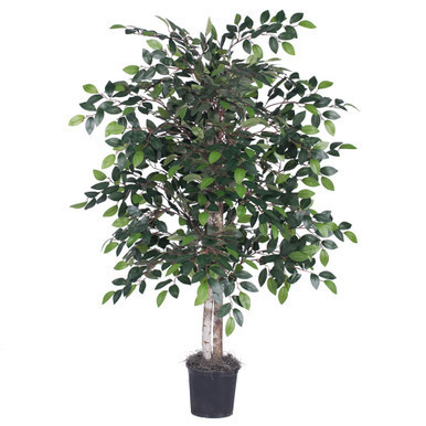 Vickerman 4' Artificial Minil Ficus Bush Black Plastic Pot