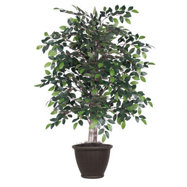 Vickerman 4' Artificial Mini Ficus Bush Brown Plastic Container
