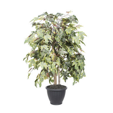 Vickerman 4' Artificial Frosted Maple Bush Gray Round Plastic Container
