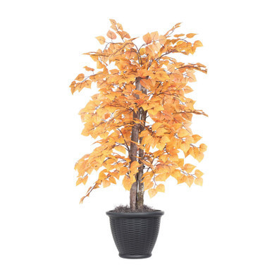 Vickerman 4' Artificial Golden Aspen Bush Gray Round Plastic Container