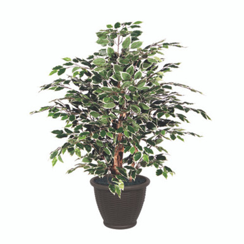 Vickerman 4' Artificial Variegated Ficus Extra Full Bush Brown Plastic Container
