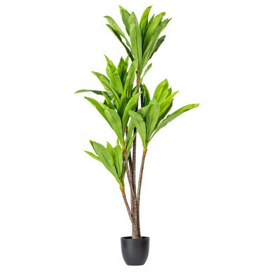 Vickerman 60" Artificial Real Touch Dracaena