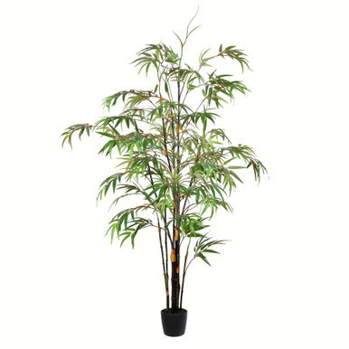 Vickerman 5' Artificial Potted Black Japanese Bamboo Tree