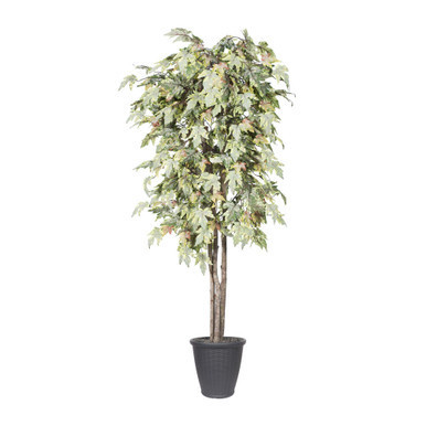 Vickerman 6' Artificial Frosted Maple Deluxe Tree Gray Round Plastic Container