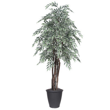 Vickerman 6' Artificial Variegated Smilax Executive Tree Gray Round Plastic Container