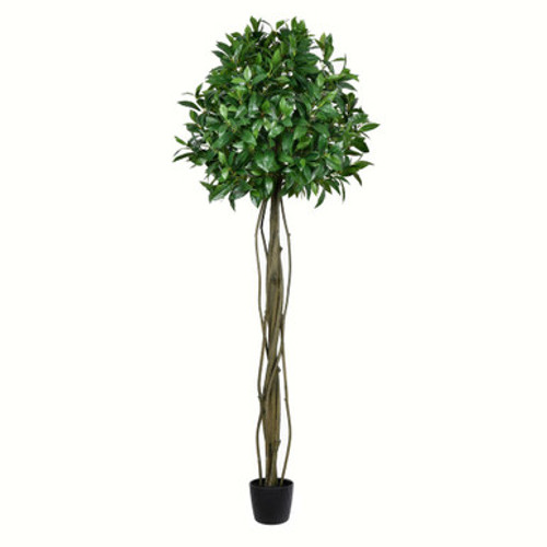 Vickerman 6' Artificial Potted Bay Leaf Topiary