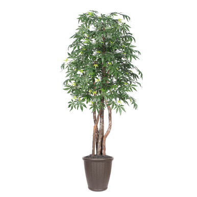 Vickerman 6' Artificial Japanese Maple Executive Tree Brown Round Plastic Container