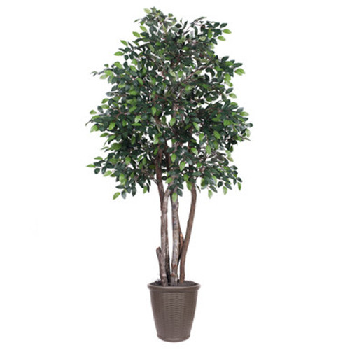 Vickerman 6' Artificial Mini Ficus Executive Tree Brown Round Plastic Container
