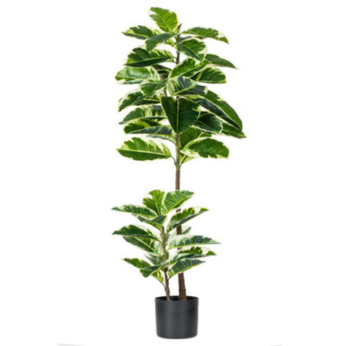 Vickerman 50" Artificial Potted Real Touch Dieffenbachia