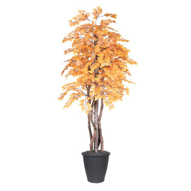 Vickerman 6' Artificial Golden Aspen Executive Tree Gray Round Plastic Container