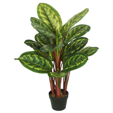 Vickerman 3' Artificial Green and Brown Peacock Plant botanical name Calathea