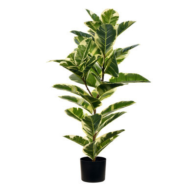 Vickerman 38" Artificial Potted Real Touch Dieffenbachia