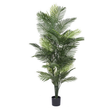 Vickerman 72" Artificial Robellini Palm Tree