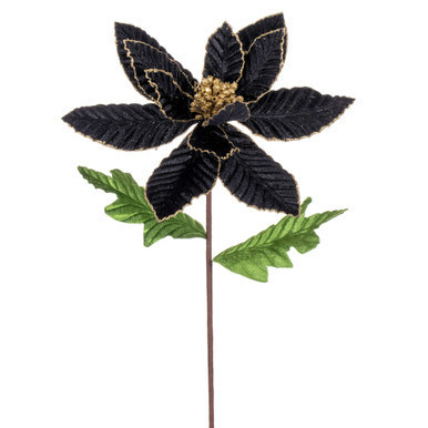 Vickerman 22" Black Velvet Glitter Trim Poinsettia 6 per bag