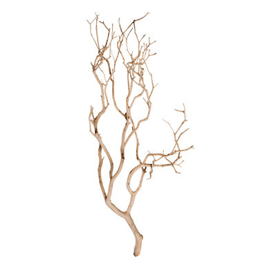Vickerman Manzanita Tree Sand Blasted 24" Dried