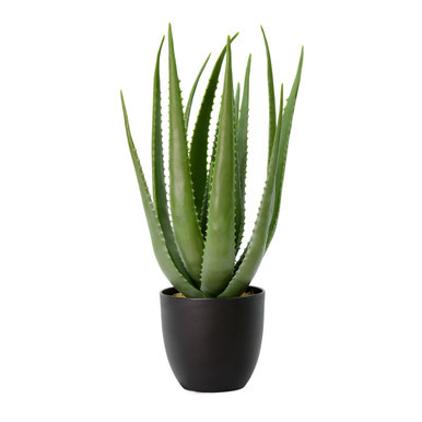 Vickerman 25" Artificial Green Potted Aloe Vera