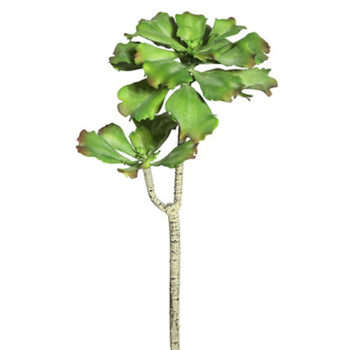 Vickerman 20" Artificial Green Aquarius Echeveria Stem