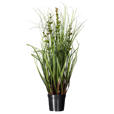 Vickerman 24" Artificial Potted Green Grass and Eucalyptus