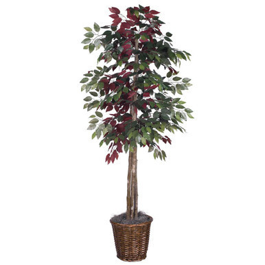 Vickerman TDX0360 6ft Artificial Capensia Tree in Pot