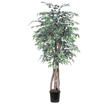 Vickerman TEX0260-07 6ft Variegated Artificial Ficus Tree in Pot