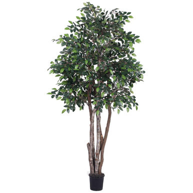  Vickerman TEX4260-07 6ft Mini Artificial Ficus Tree in Pot