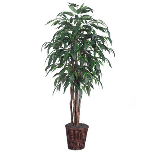  Vickerman TEX2860 6ft Artificial Mango Tree in Rattan Basket