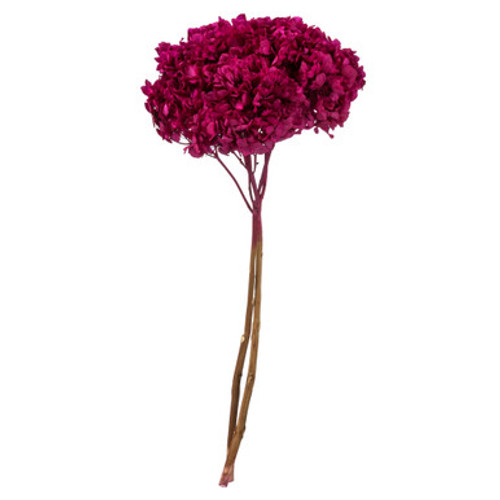 Vickerman 15" Merlot Hydrangea with Multiple Branch Segments