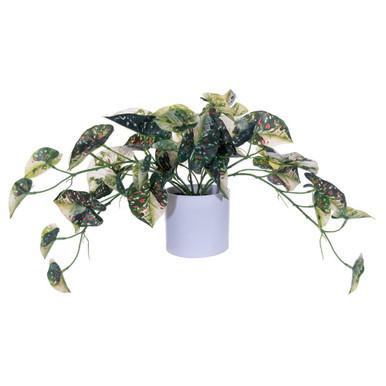 Vickerman 16" Artificial Green Variegated Leaves in Pot