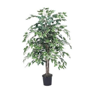 Vickerman 4' Artificial Variegated Ficus Bush Black Plastic Pot