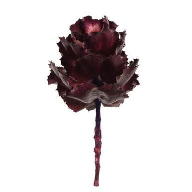 Vickerman 8" flower Violet Queen Flower 1 stem Dried