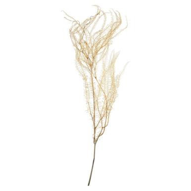 Vickerman 26" Bleached Fern - Andares 4 oz per pack Dried