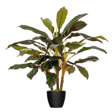  Vickerman 30" Artificial Real Touch Dracaena 