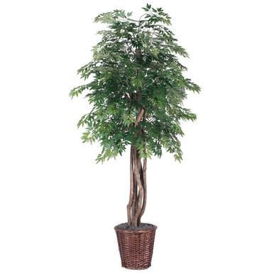 Vickerman 6' Artificial Ming Aralia Executive Rattan Basket