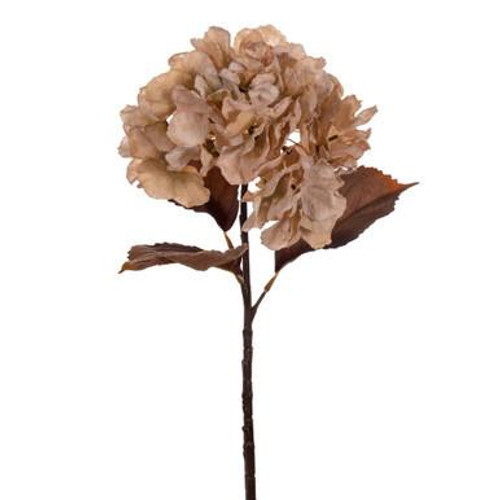  Vickerman 18.5" Cream Artificial Dried Hydrangea Spray 2 per Bag 