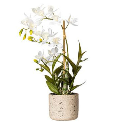  Vickerman 19" Artificial White Deluxe Potted Cycnoches Orchid 