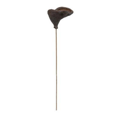 Vickerman Natural Botanicals 20" Stem Badam