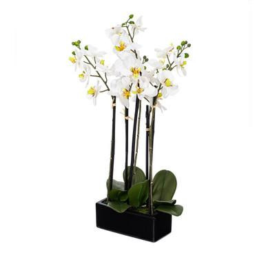 Vickerman 21" Artificial White Potted Orchid