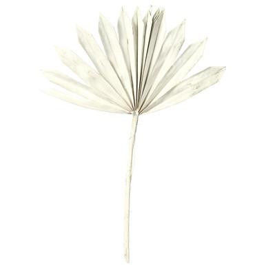 Vickerman Natural Botanicals 13