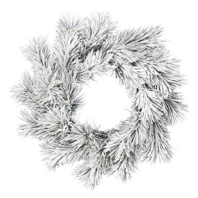 Vickerman 24" Frosted Beckett Pine Artificial Christmas Wreath Unlit