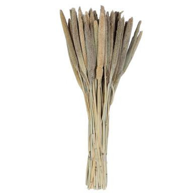 Vickerman Natural Botanicals 24" Babala Natural