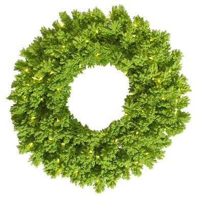 Vickerman 24" Flocked Lime Fir Artificial Wreath with LED Lights - Vickerman K168625LED
