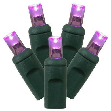 X4G6706TPBG Vickerman - 24 ft 70-Light Outdoor Purple LED Wide Angle Christmas Light String - Green Wire