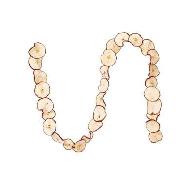 Vickerman H1APG000 Vickerman - 10 ft Cream Apple Christmas Garland - Unlit 