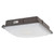 LBS Lighting Energy-Efficient Outdoor Slim Square Bronze LED Canopy Light 