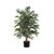 Vickerman 4' Artificial Green Smilax Bush Black Plastic Pot