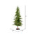 Vickerman 6' Shawnee Fir Artificial Christmas Tree Warm White LED Dura-lit Lights