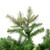 Vickerman 24" Cashmere Pine Artificial Christmas Tree Unlit
