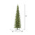 Vickerman 10' Bixley Pencil Fir Artificial Christmas Tree Warm White Dura-lit LED Lights